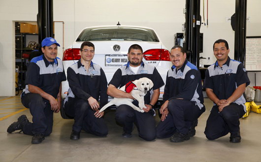 Jetta at 12 weeks old with technicians.