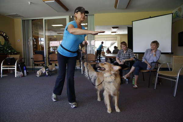 Mary Kay works with Dancer to improve Dancer's attention during walks.